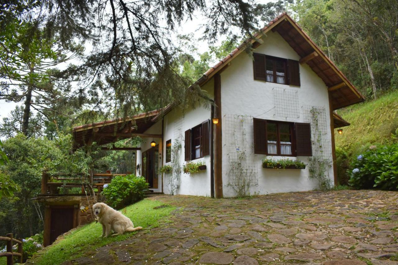 Chalet Da Hortensias Villa Cunha Dış mekan fotoğraf