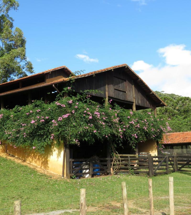 Chalet Da Hortensias Villa Cunha Dış mekan fotoğraf