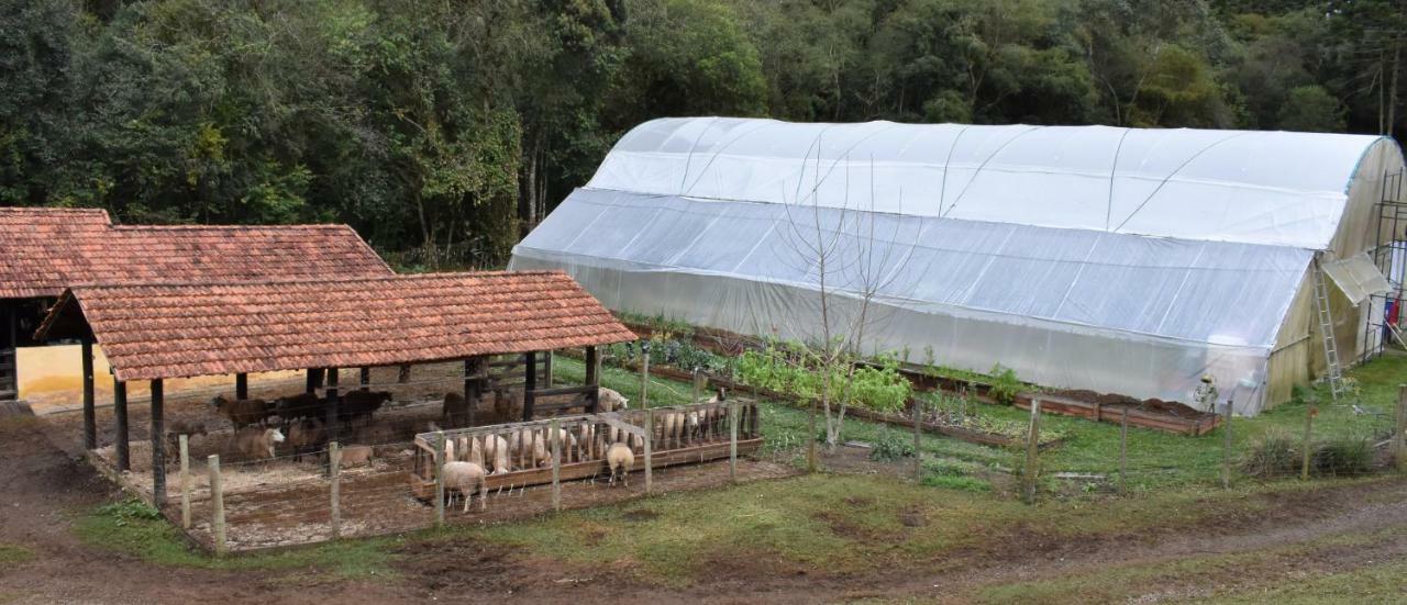 Chalet Da Hortensias Villa Cunha Dış mekan fotoğraf